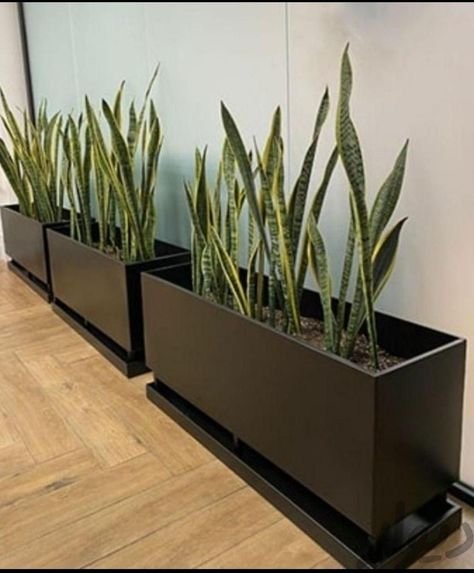 Stainless Steel Planters, reference design 010